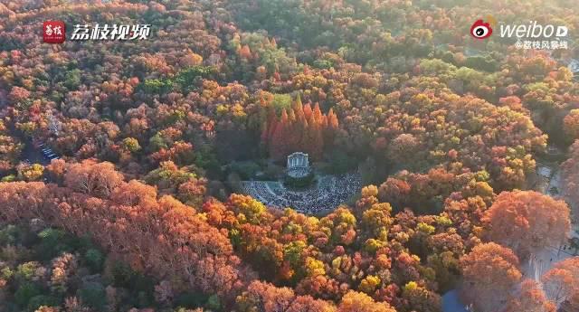 海外华人必看：教你解锁国内影视资源，同步追剧不再卡顿