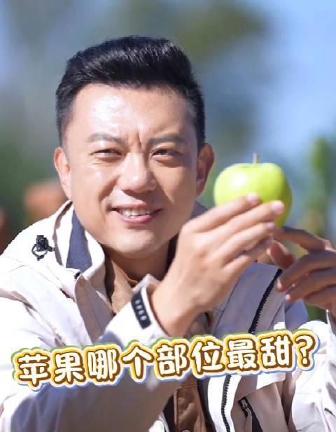 苹果最甜部位大揭秘！牛顿定律竟然能帮你找到最甜的那一口？