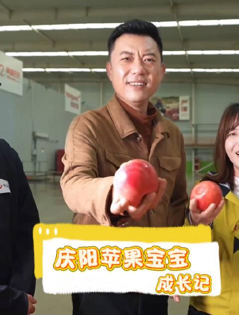 揭秘庆阳苹果的科技成长之路：从实验室到舌尖的数字化奇迹