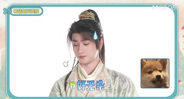 敖子逸猫狗表情包爆火！咪咕《水龙吟》预约破200万，粉丝直呼太会了