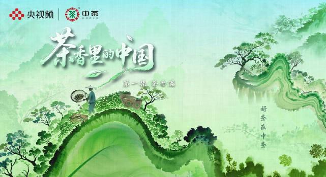 海外华人必看：三步解锁国内影视综艺，告别播放限制烦恼