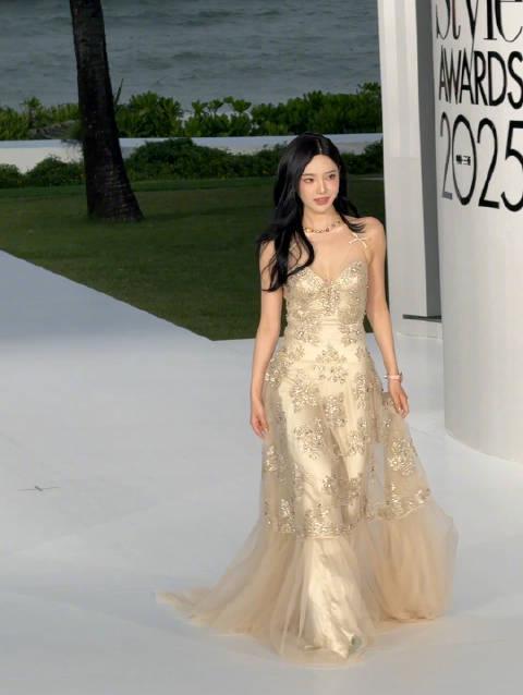 海外华人轻松解锁国内影音限制：告别播放卡顿烦恼