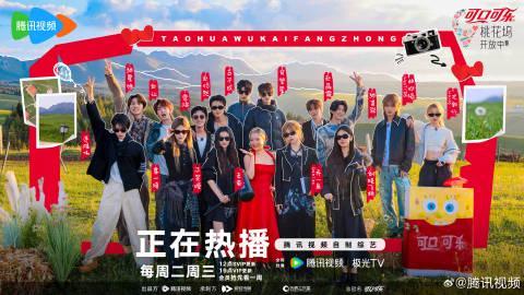 海外华人必看：轻松解决国内影视音乐综艺地区限制播放卡顿全攻略