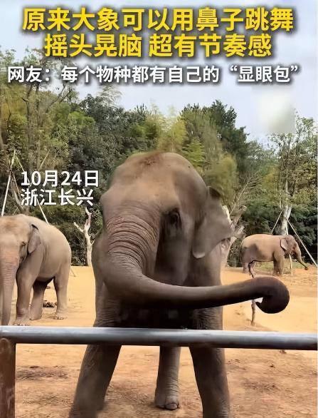 海外华人必看：轻松解决国内视频平台地区限制，告别卡顿烦恼的实用指南