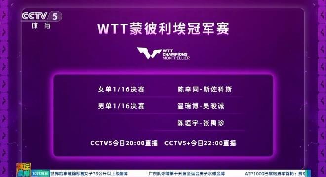 手把手教你追国乒比赛！陈幸同领衔出战，这些观赛技巧太实用了