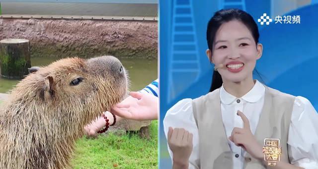 海外华人看不了国内综艺？3招教你轻松解锁《卡皮巴拉出逃记》等热门内容