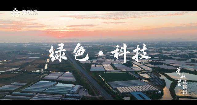 海外追剧卡成PPT？3招教你解锁国内影视资源，海外党也能畅享《青山绿水蔬满园》