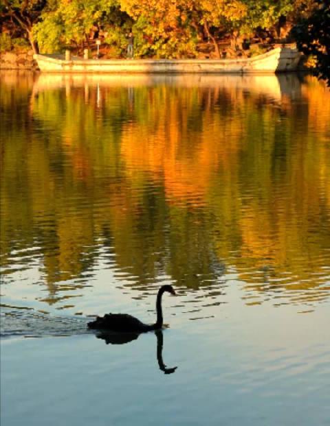 海外党必看！3招教你解锁国内视频平台限制，轻松追更《北京的秋》