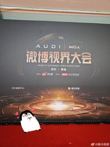 海外华人如何突破地区限制观看微博视界大会？实用教程帮你解决播放难题