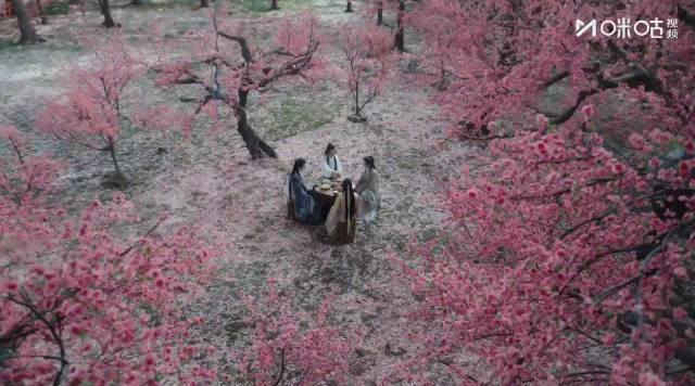 《水龙吟》兄弟反目！唐俪辞为救方周竟动用禁忌功法，罗云熙演技炸裂