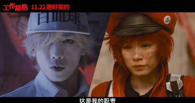 刷到《工作细胞》真人版定档预告时，我正帮澳洲表妹调试爱奇艺——她发来尖叫语音：‘姐！国内11月就能看，我这还要等半年！’