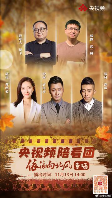 海外追剧党必看！轻松解锁国内热播剧，告别卡顿黑屏烦恼