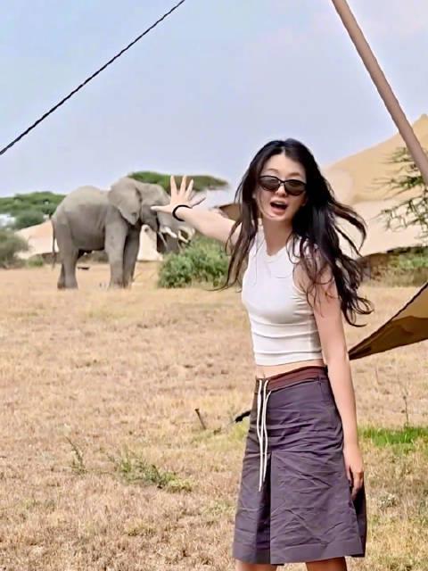 乔欣淡出娱乐圈后活成现实版曲筱绡？海外游子如何破解视频地域限制看完整版