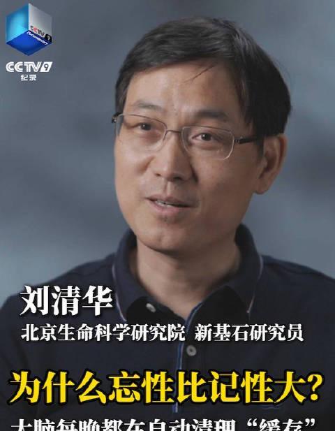 总是忘事？可能不是记性差，而是睡眠不足惹的祸！