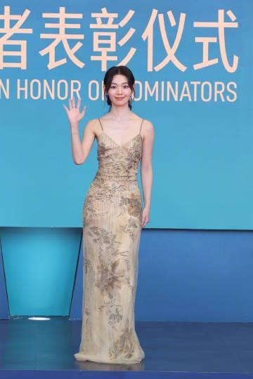 海外华人追剧遇阻？段奥娟金鸡奖提名背后藏着这些播放难题