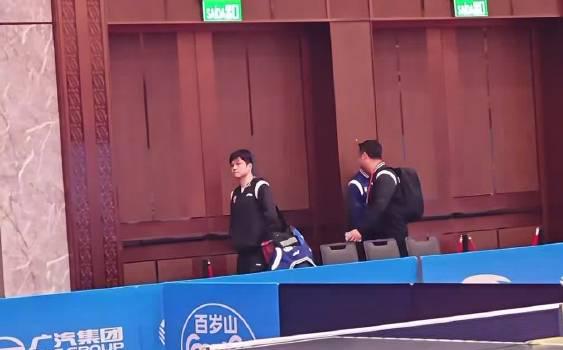 海外华人如何解锁全运会直播？3招教你轻松观看樊振东比赛