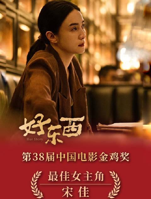 海外华人追剧遇阻怎么办？宋佳再夺金鸡影后背后藏着这些内容痛点