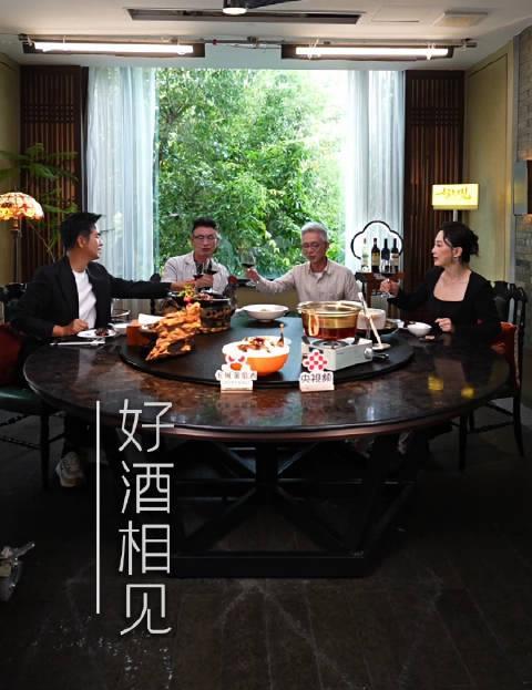 海外华人追剧遇阻？三步破解地区限制，轻松观看国内热门综艺节目