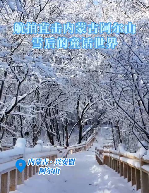 海外党福音！3招教你解锁《歌游内蒙古》，任素汐歌声不再错过