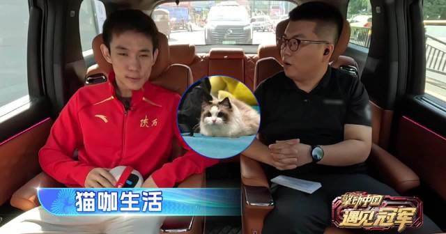 全运会冠军杨昊的暖心日常：与布偶猫福瑞的治愈之旅，揭秘冠军座驾的贴心设计