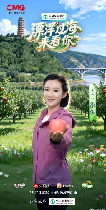 海外华人追剧听歌遇阻？这些方法帮你突破地区限制畅享国内影音