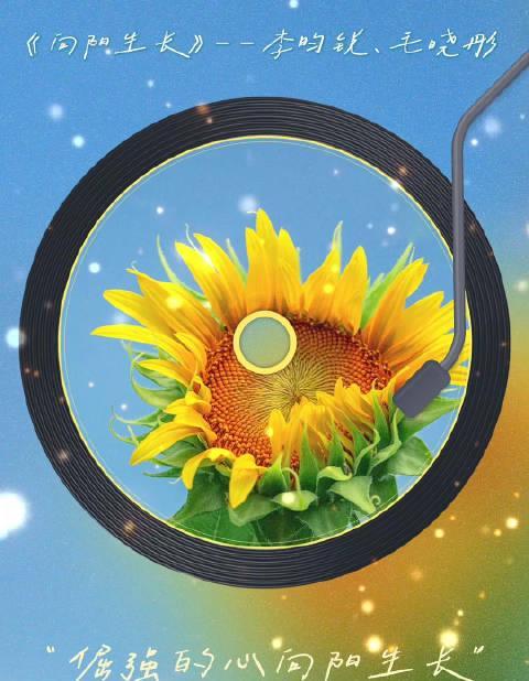 海外华人必看！如何解锁《大胆奔向属于你的阳光》完整版，告别地区限制烦恼