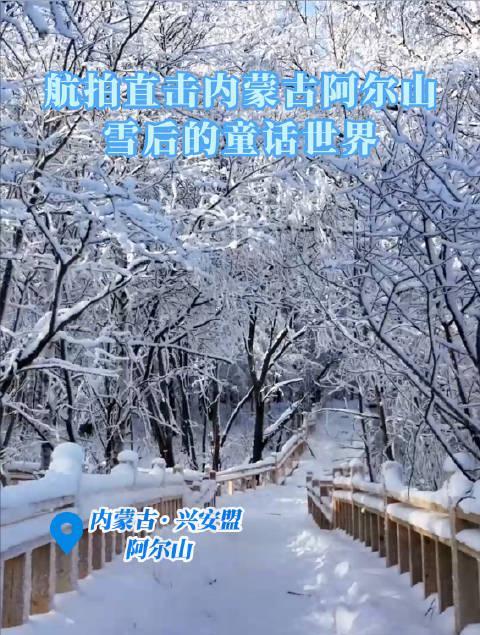 海外华人如何解锁央视频《歌游内蒙古》？大兴安岭雪后阿尔山美到窒息！