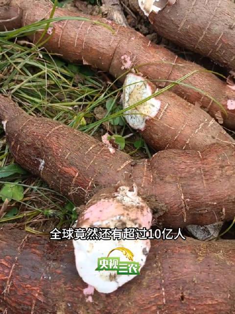 海外华人看过来！3招教你轻松解除地区限制，畅享国内热门综艺和奶茶文化