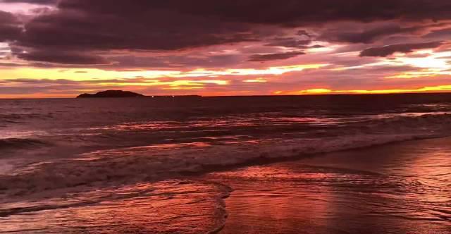 三亚马拉松惊艳亮相！椰风海景中奔跑的浪漫体验，错过等一年