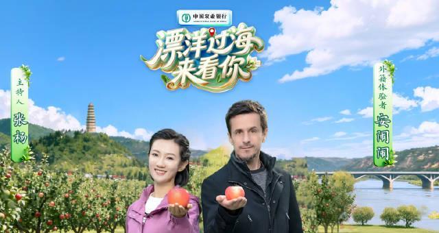从红苹果到金苹果的蜕变之路，看《漂洋过海来看你》如何讲述乡村振兴故事