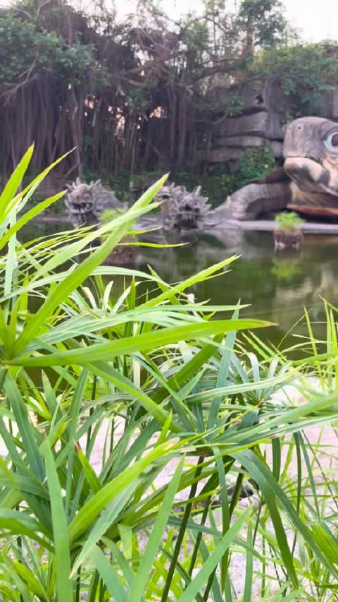 海外华人追剧遇阻？三招教你突破地区限制，畅享国内影视综艺无压力