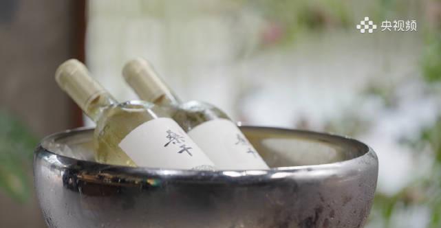 海外华人追剧听歌遇阻？三招破解地区限制，畅享国内影音资源不卡顿