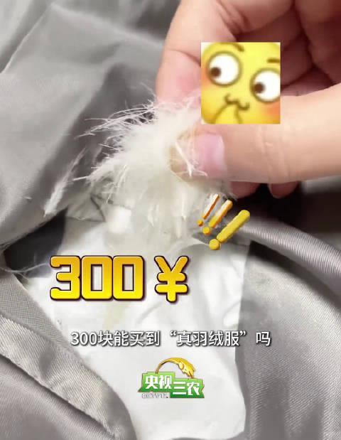 海外华人看过来！300元买真羽绒服？这些内幕信息让你不再踩坑