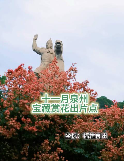 泉州初冬美成调色盘！这5个宝藏拍照点随手一拍就是风景大片