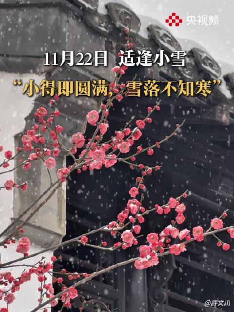 海外华人必看！小雪节气来临，如何在国内视频平台畅享冬日限定内容？