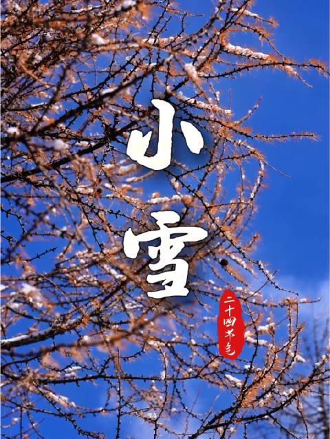 海外华人必看：4招教你解锁国内影视资源，小雪节气治愈视频不再错过