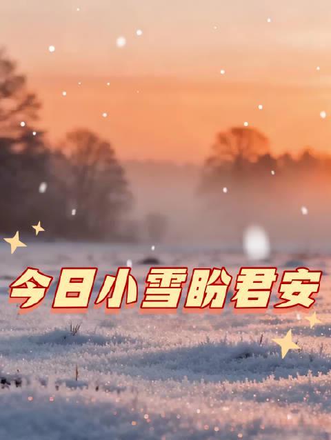 海外华人看不了央视频？3招教你解锁《小雪》暖心视频，不再错过国内热门内容