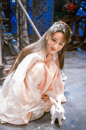 海外华人追剧困境全解析：从《香蜜》长尾效应看如何破解地区限制