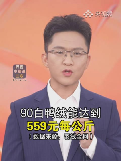 羽绒服价格年年攀升？教你几招省钱又保暖的实用技巧