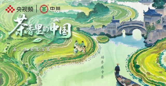 海外追剧党必看！3招教你轻松解锁国内热门综艺，告别‘地区限制’的烦恼