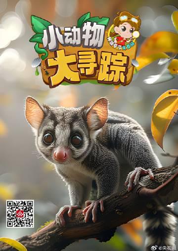 海外华人看不了国漫？3个方法教你解锁《阿班可可大百科》地区限制