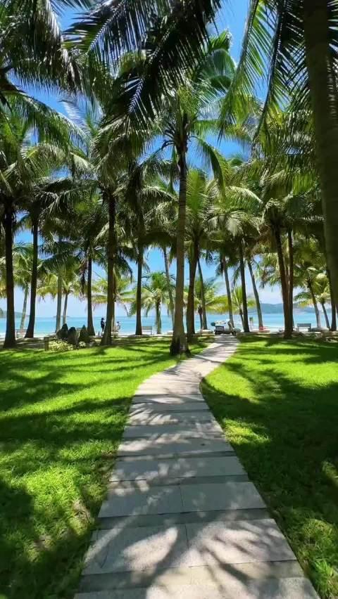 三亚马拉松攻略：阳光椰风中的浪漫奔跑，这样玩才过瘾！