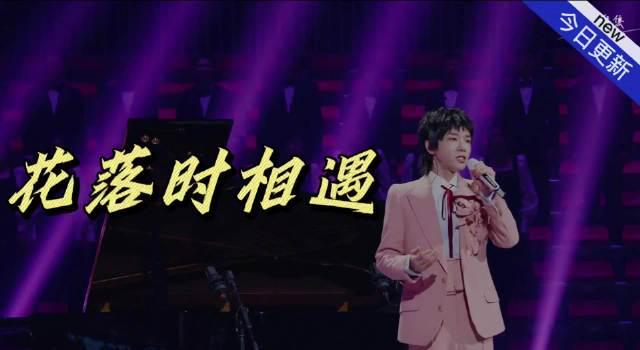 海外党必看！华晨宇《花落时相遇》治愈神曲，如何突破地区限制随时聆听？