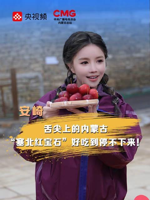 塞北红宝石海红果火了！酸甜开胃的秋冬限定美味，让安崎都停不下来