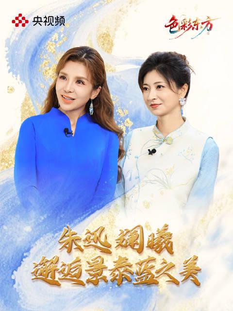 海外华人必看：轻松突破地区限制，重温国内热门影视综艺的实用指南