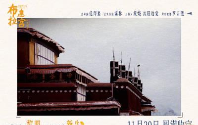 海外追剧党福音：三步教你解锁国内影视资源，罗云熙布达拉宫大片不再错过！