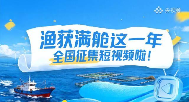 海外华人看不了《渔获满舱这一年》？这些方法帮你突破地区限制！