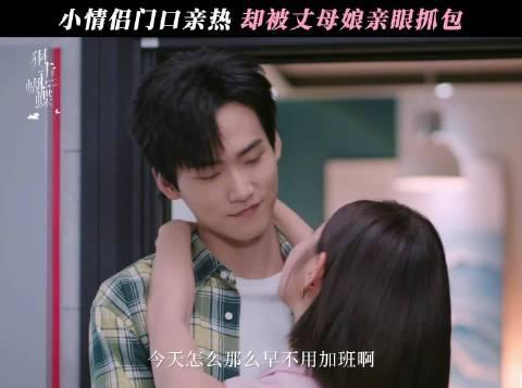 海外华人如何解除地区限制观看《狙击蝴蝶》等热门剧集完整教程分享