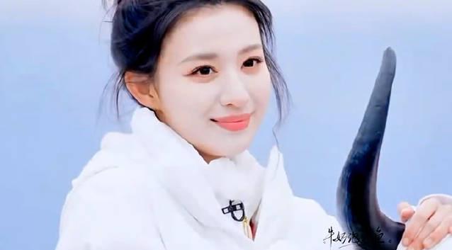 王楚然综艺首秀反差萌出圈！海外华人追国内综艺竟遇播放限制？