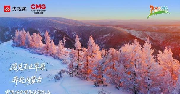 海外华人看不了国内热播剧？别急，这篇攻略教你轻松解锁地区限制